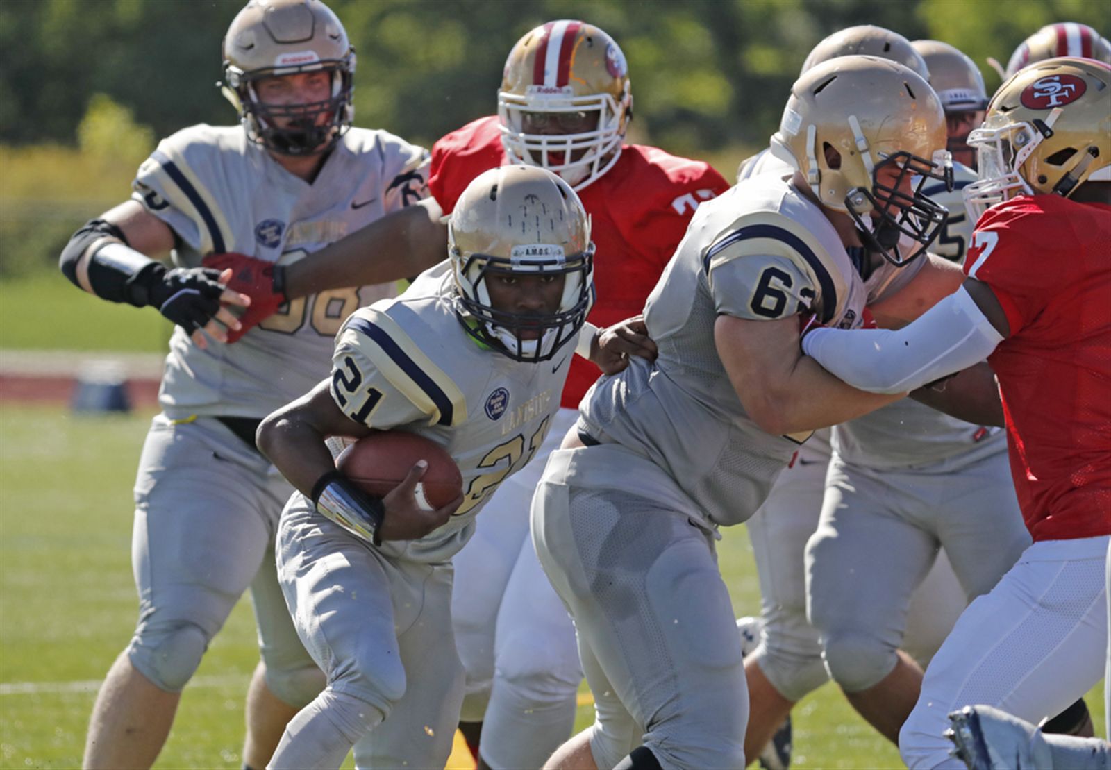 Canisius 55, St. Francis 13